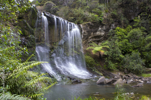 Fototapeta Naklejka Na Ścianę i Meble -  Mokoroa Waterfalls Auckland New Zealand