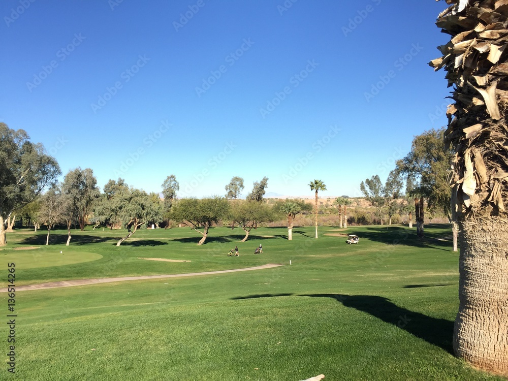 Obraz premium Golfers on the Green