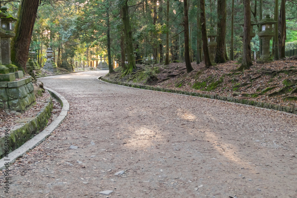 Footpath winding through forest at Kasuga Taisha Shrine in Nara, Japan