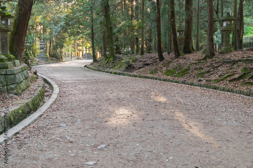 Obraz na płótnie Footpath winding through forest at Kasuga Taisha Shrine in Nara, Japan w salonie
