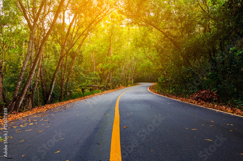 The empty road in forest and sunlight for nature background