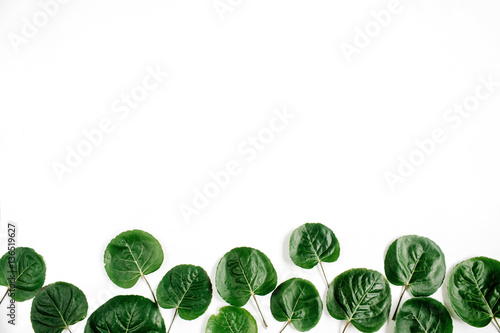 Green leaves pattern on white background. Flat lay, top view. Blog header