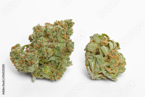 Close up of Jack Herrer medical and Charlie Sheen marijuana buds