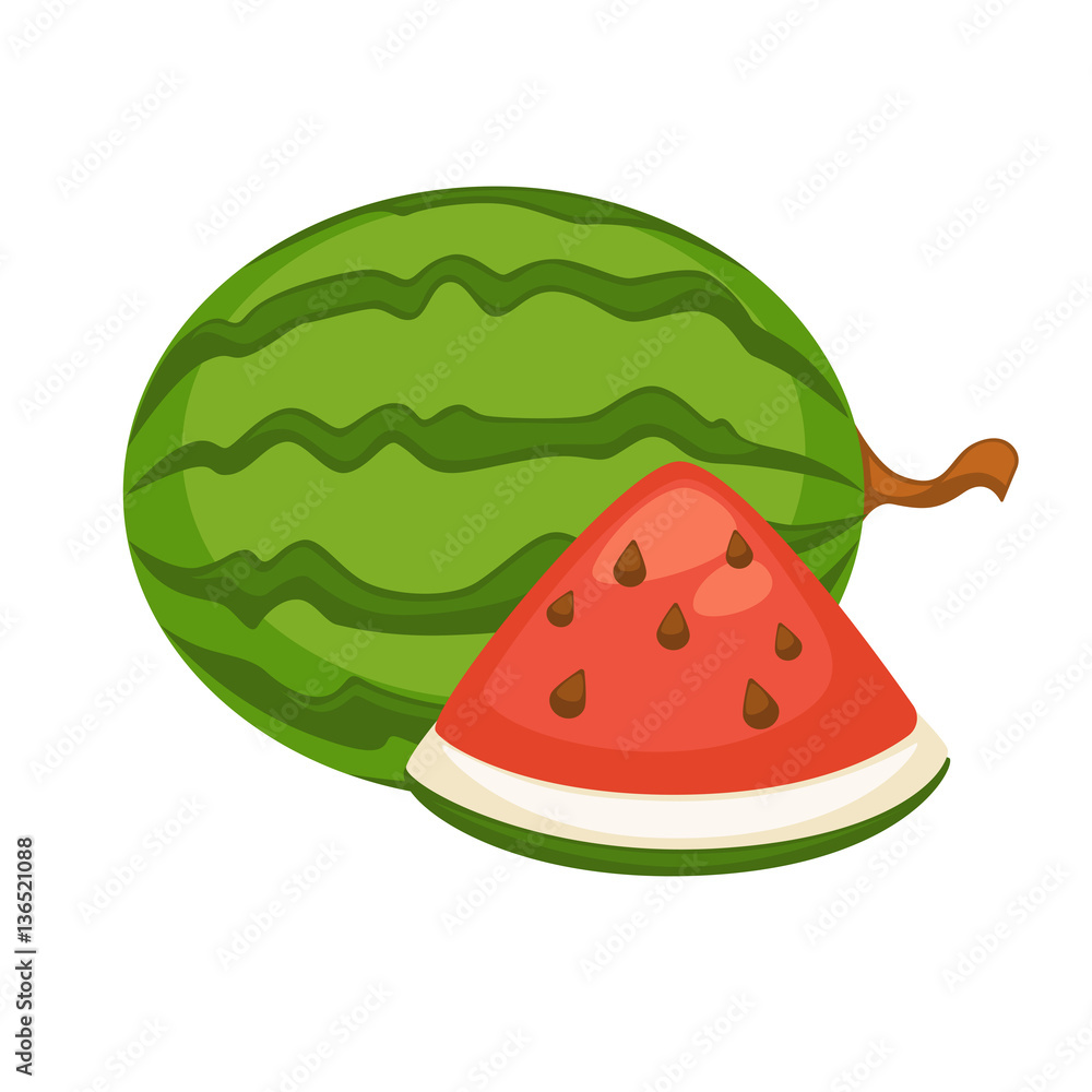 Watermelon Fruit Isolated. Berry with Hard Rind Watermelon Fruit Isolated. Berry with Hard Rind