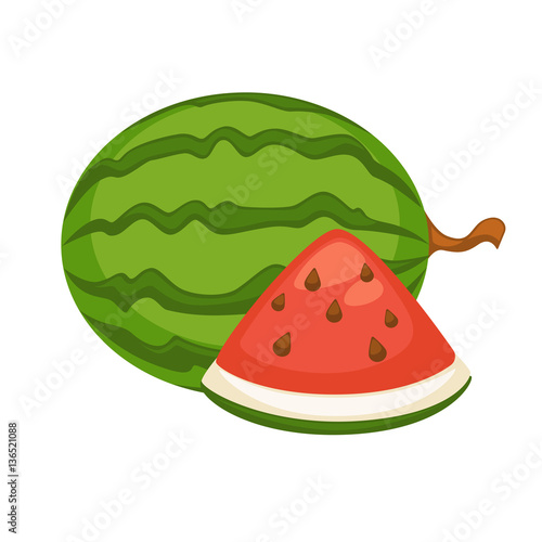 Watermelon Fruit Isolated. Berry with Hard Rind