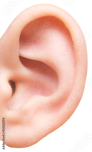ear on white