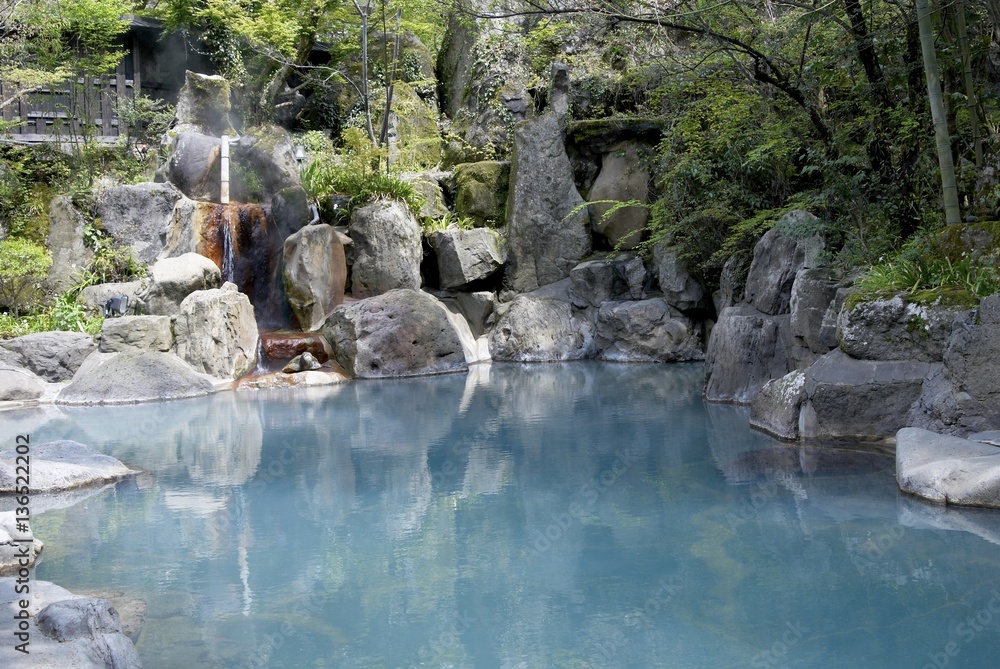 Naklejka premium the garden of urokawa