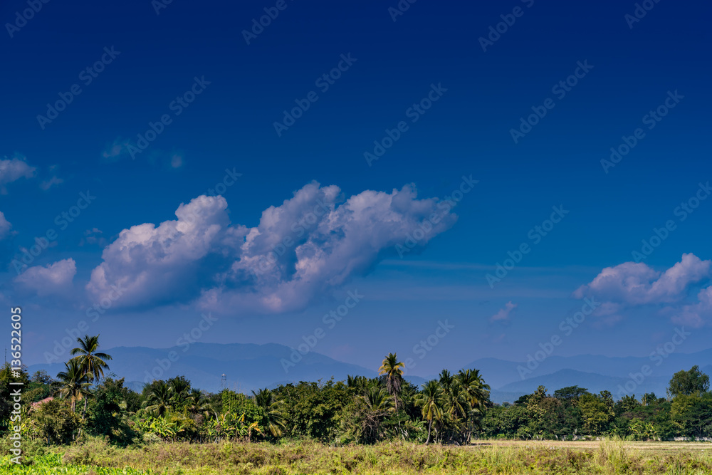 Obraz premium Cloud with blue sky