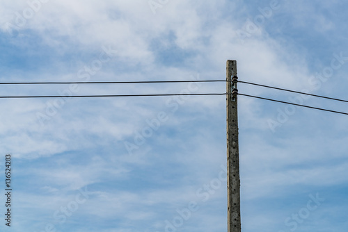 Wallpaper Mural Power line on concrete pole Torontodigital.ca