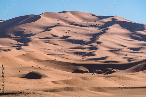 Sahara desert  