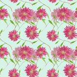 Aster , Michaelmas daisy. Seamless pattern texture 