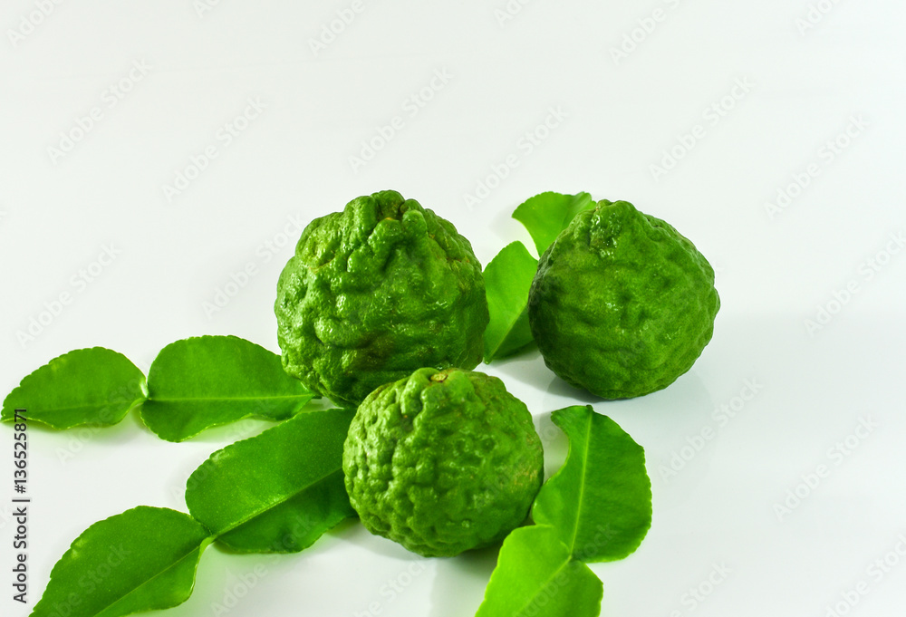 Fototapeta premium Fresh kaffir lime from herbs garden, known also as leech lime,bergamot. The leaves are commonly used as ingredient in Thai cooking.