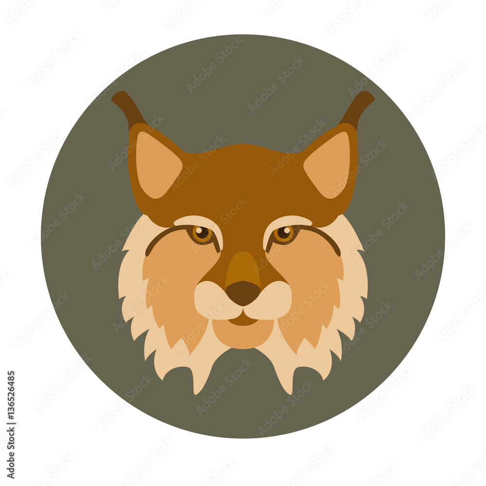 lynx vector illustration style Flat face lynx vector illustration style Flat face
