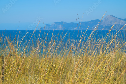 Black Sea Coast