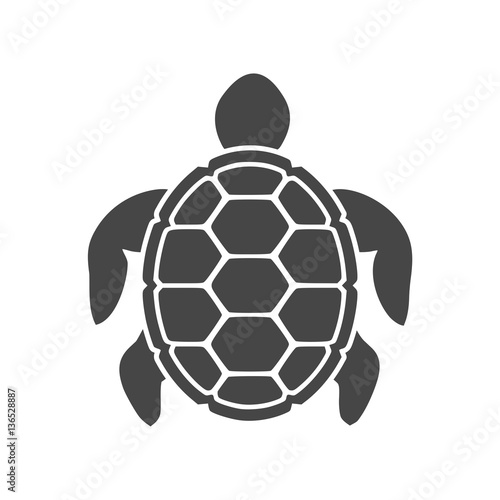 Turtle Icon Flat Graphic Design - Illustration