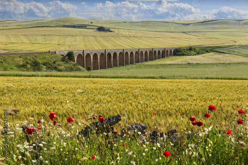 Spring rural landscape: railway bridge on the green wheat field.Apulia.ITALY .Rural landscape with vernal wildflowers: poppies in a field with unripe cornfield. photo