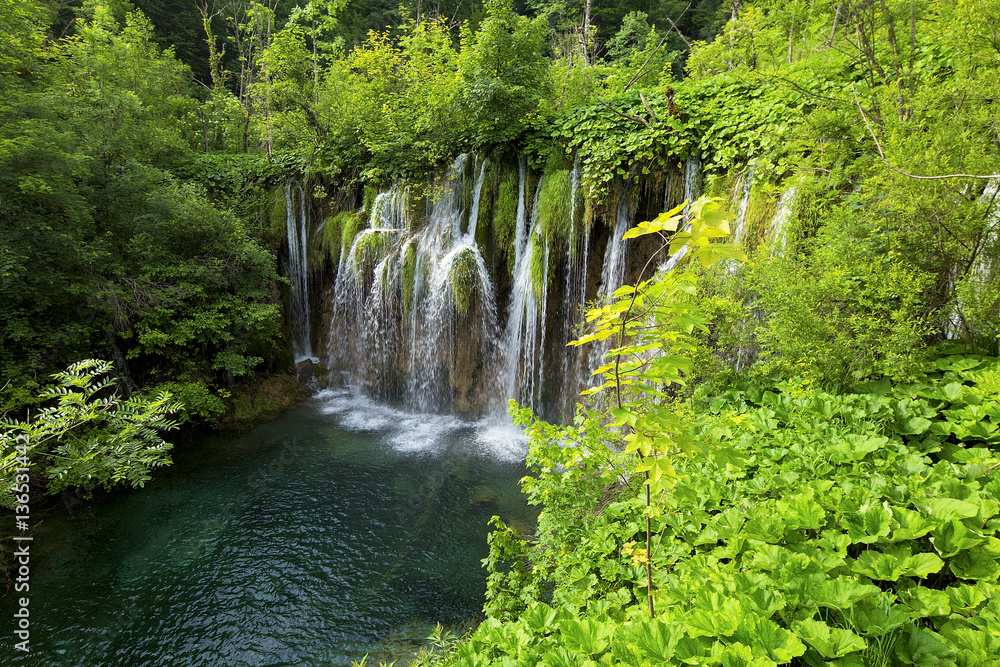 Fototapeta Plitvice lakes park in Croatia.