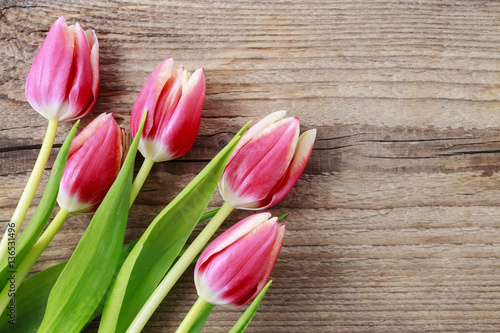 Fototapeta Naklejka Na Ścianę i Meble -  Beautiful pink tulips on wooden background