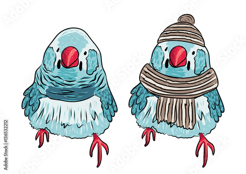 vector illustration of the same bird warm dressed and undressed