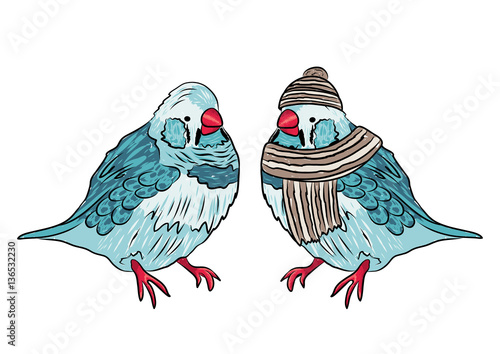 vector illustration of the same bird warm dressed and undressed