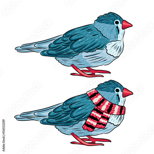 vector illustration of the same bird warm dressed and undressed