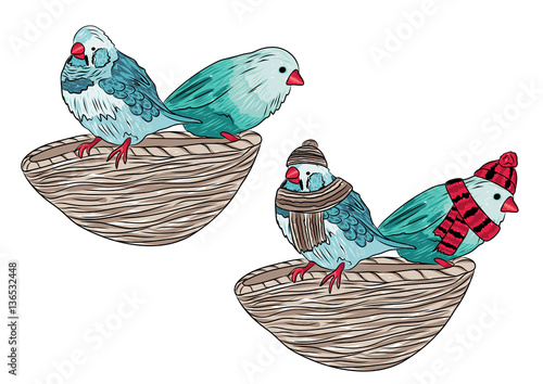 vector illustration of the same birds warm dressed and undressed