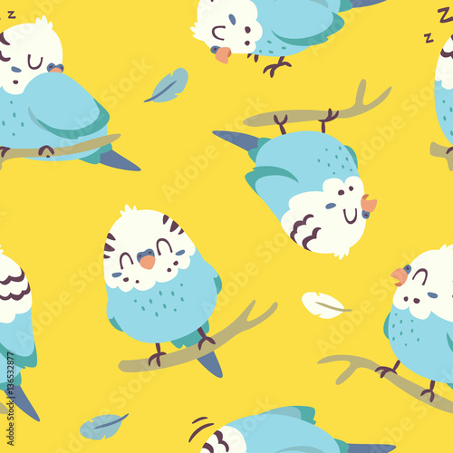 vector cartoon budgie parrot seamless pattern