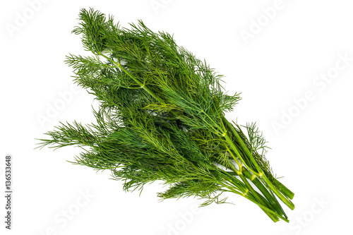 Fresh Juicy Dill Isolated on White Background