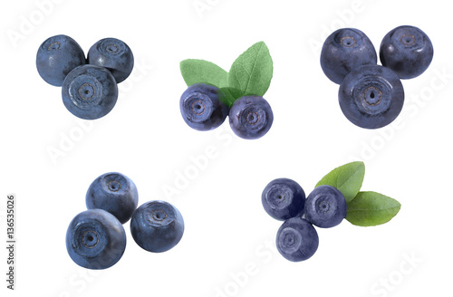 large blueberries composition set with leaves isolated on white background © a_darya
