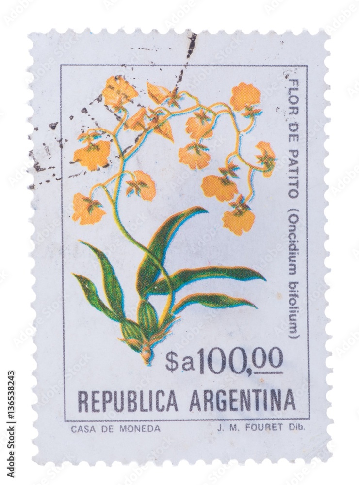ARGENTINA : A stamp printed in the shows Oncidium bifo ARGENTINA : A stamp printed in the shows Oncidium bifo