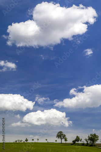 Fields, avenue, white clouds in blue sky, Austria, Lower Austria