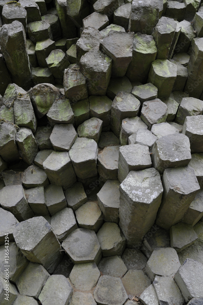 custom made wallpaper toronto digitalbasaltprismanwand, detail