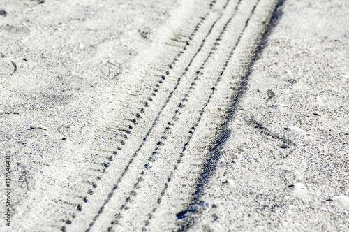 Track in the sand