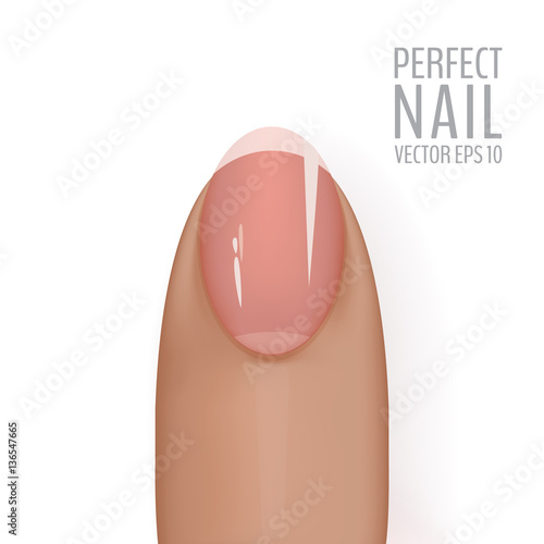 Glossy and healthy vector nail