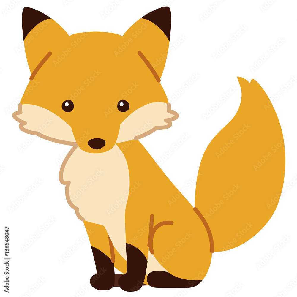 Obraz premium キタキツネ