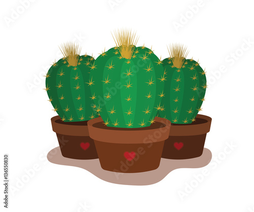Three pots of cacti. Vector illustration.