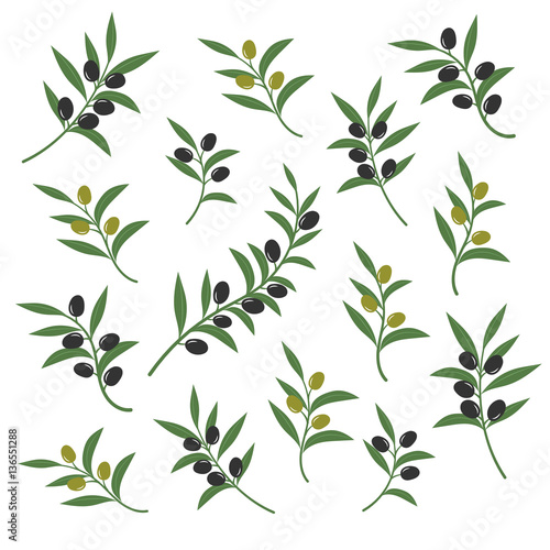 Olive branch set vector illustration. Italian sicilian or greek oil green branches symbols isolated on white background