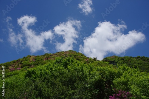 初夏の雲と緑の山