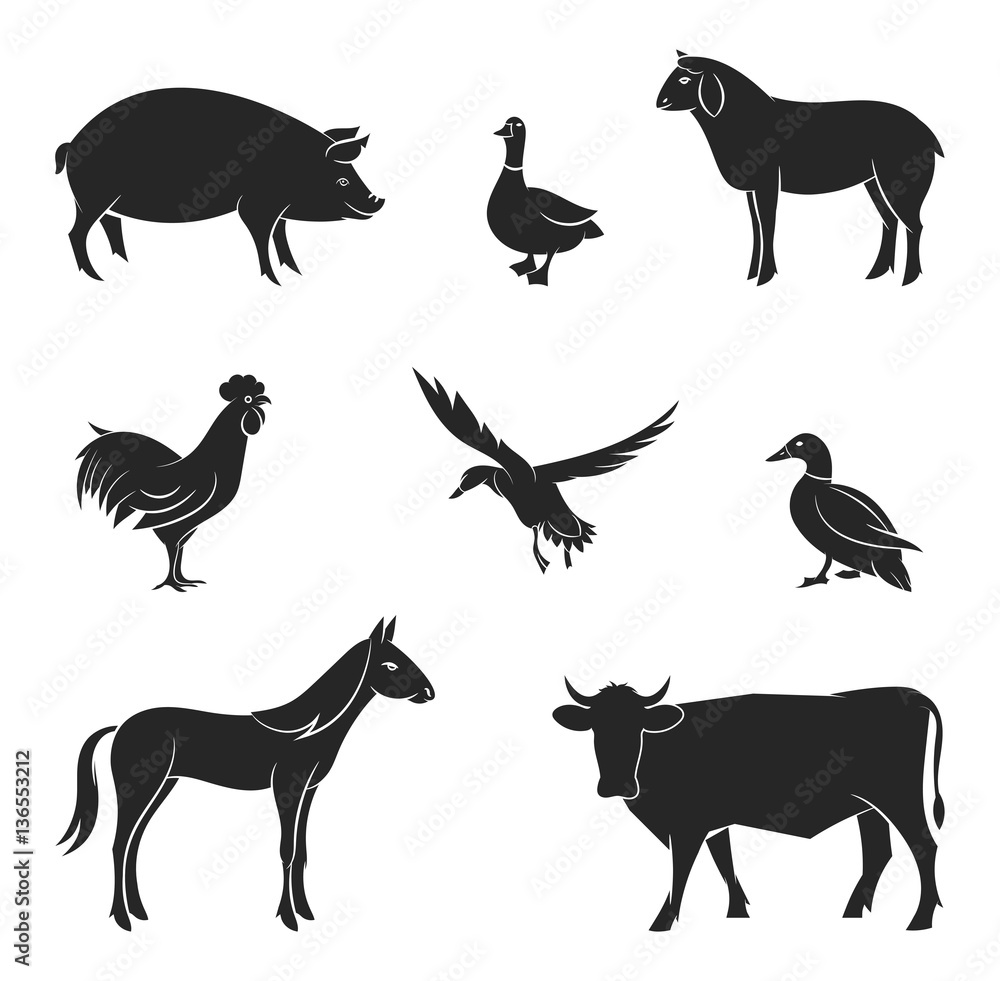 Fototapeta premium Silhouettes of livestock.