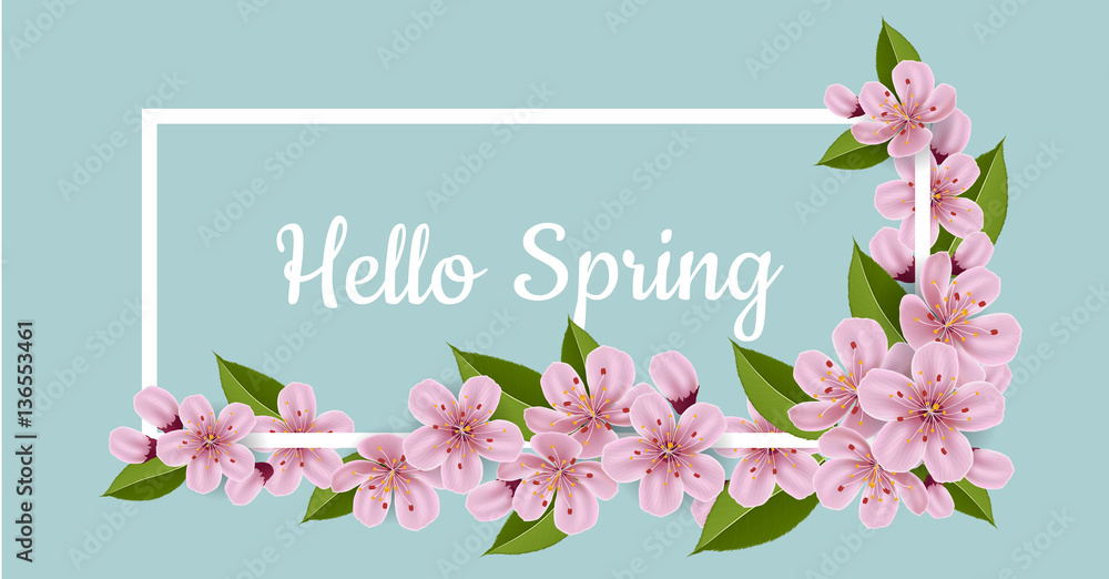 Horizontal spring banner with white frame and pink cherry flower with hello spring message