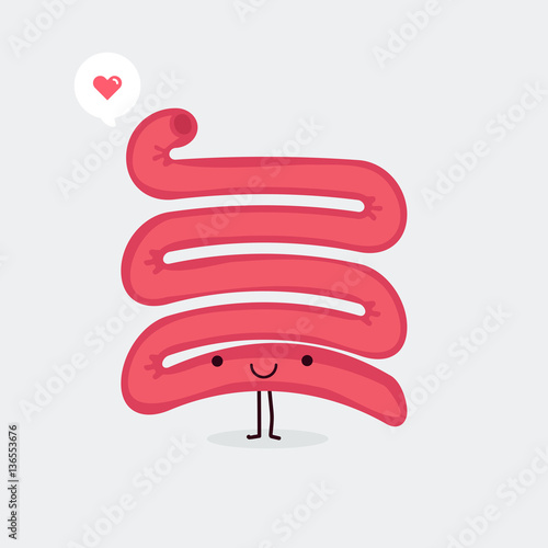 Small intestine character