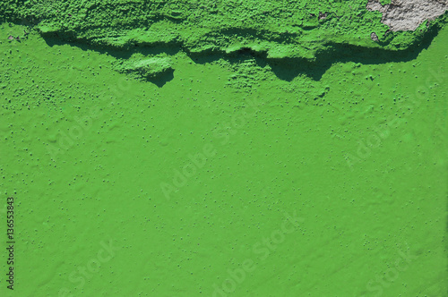 green grunge cement background. greenery, color of year 2017. Pantone
