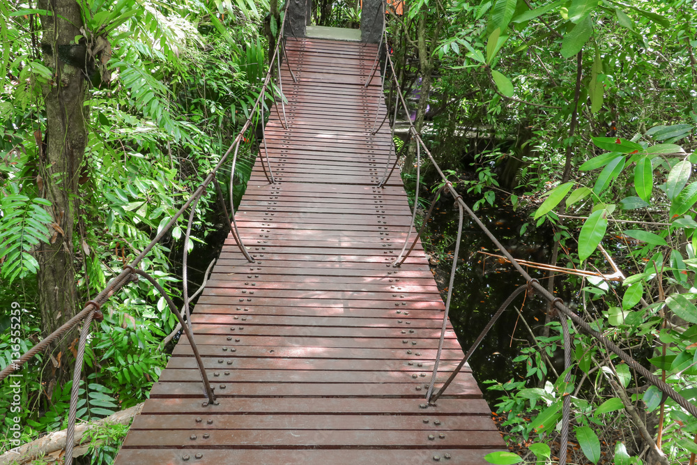 suspension wood bridge walkway in the forest