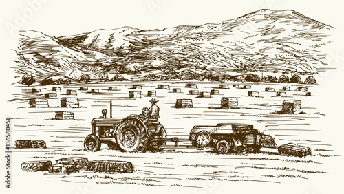 Tractor collecting haystack in the field. Hand drawn vector illu