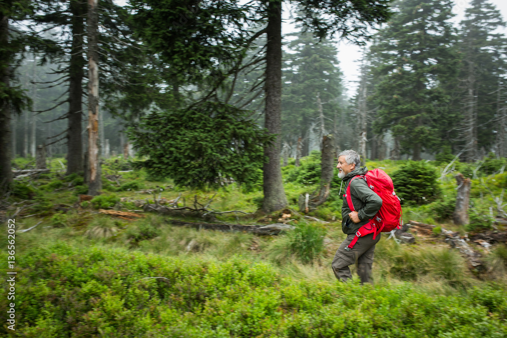 Active senior hiking in high mountains (motion blur technique us