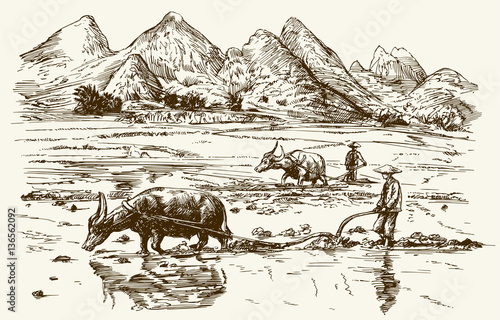 Asian farmers working on rice field. Hand drawn illustration.