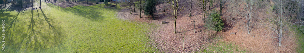 Vista area di un parco, prato foglie e alberi in inverno Vista area di un parco, prato foglie e alberi in inverno