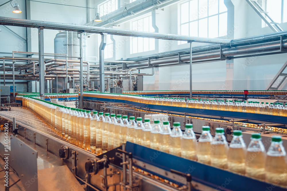 Fototapeta premium Beer bottles on the conveyor belt. Brewery.