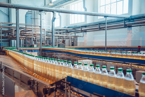 Beer bottles on the conveyor belt. Brewery.