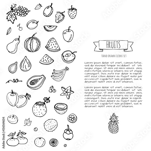 Hand drawn doodle fruits and berries icons set Vector illustration seasonal food symbols collection Cartoon various types of tropical fruits on white background Sketch style. Pineapple  papaya